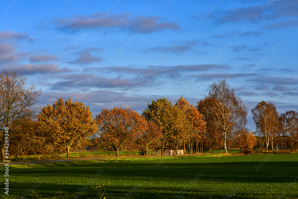 Herbststimmung, Herbstlaub Feld, Baumreihe in Herbstfarben, Herbstfarben, blauer Himmel, Sonnenschein im Herbst, schöne Färbung, Landstrasse