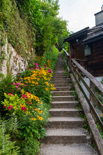 rock stairs surrounded by beautiful flowers