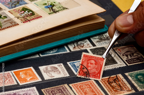The philatelist holds the postage stamp using tweezers above the stamp album photo