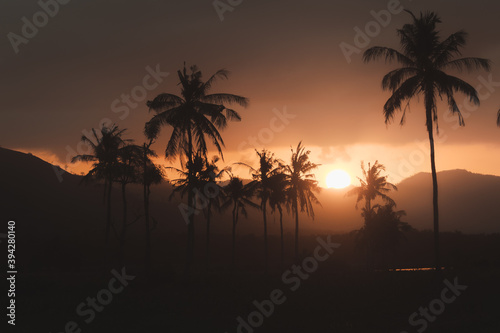 Image of a dramatic beautiful sunset in the mountains of Lombok, West Nusa Tenggara, Indonesia. Palm tree silhouettes with dark clouds in the background.