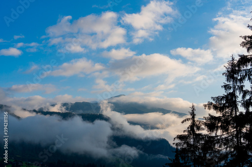 Clouds and fog over pine tree forest painted style, alps austria europe