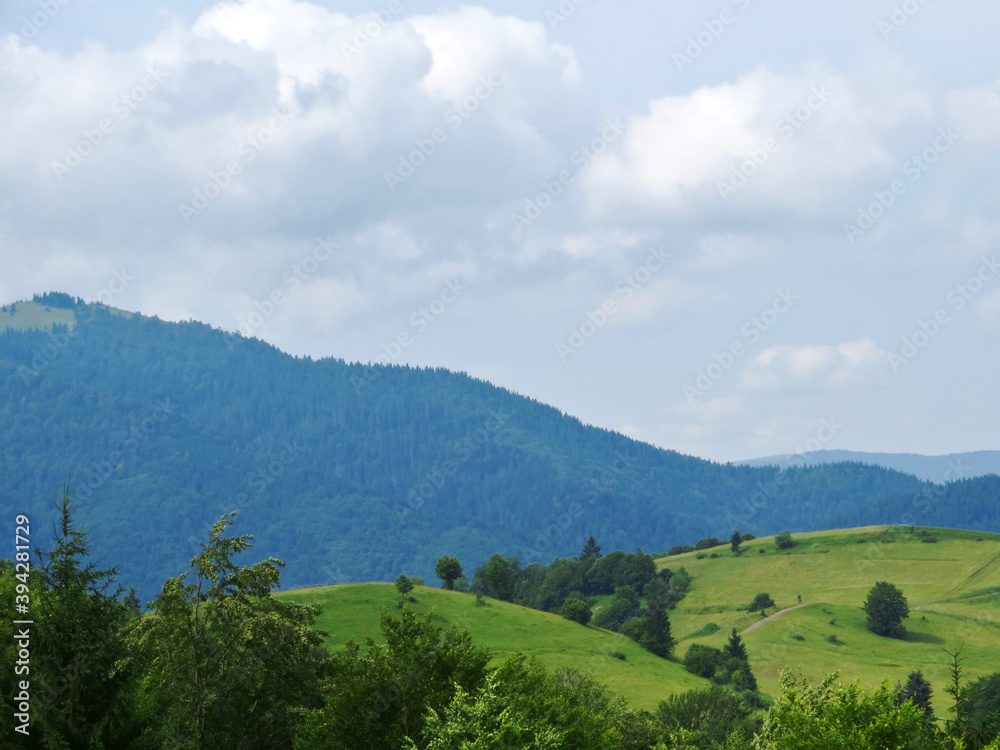 Green grassy pastures in the mountains of the Carpathians. Mountain silhouette on sky background