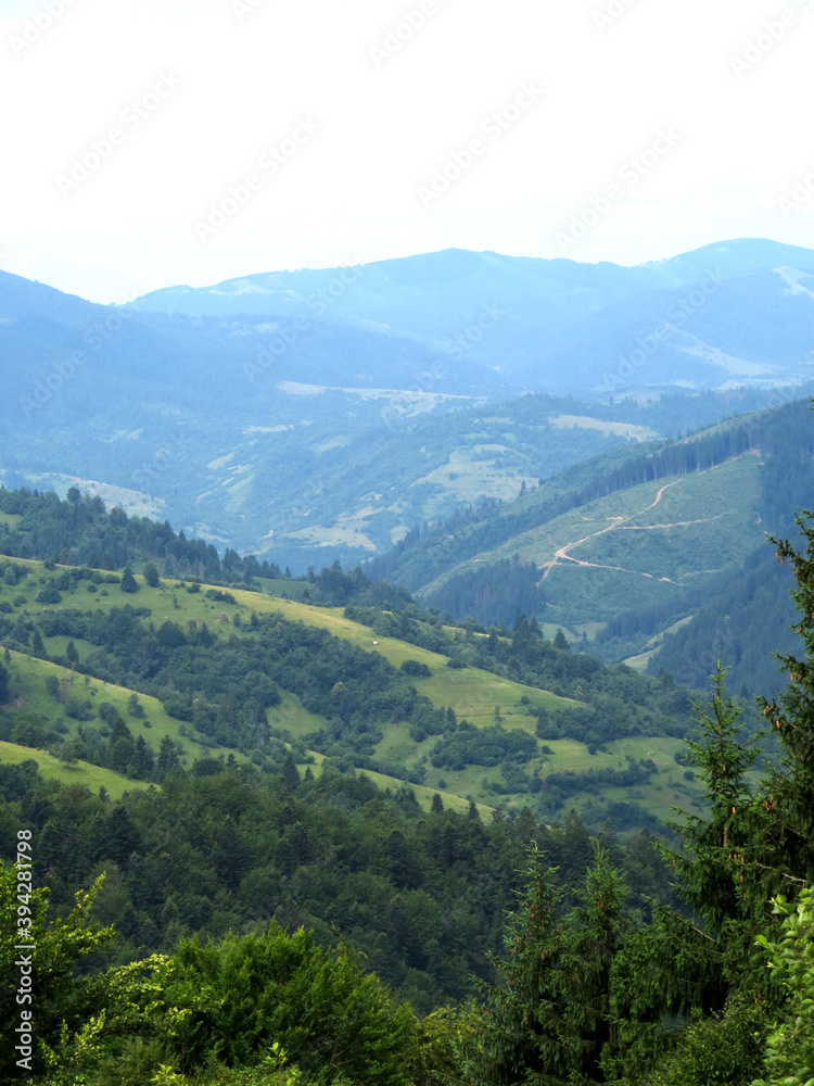 Green highlands of the Carpathian mountains with forest and roads on the ridge