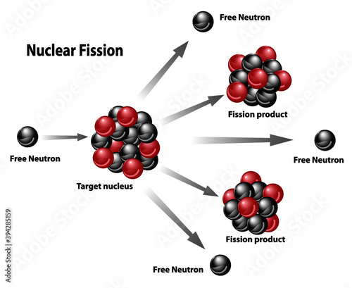 Nuclear energy diagram of nuclear fission reaction. Free neutron, target nucleus, fission product, chain releasing energy.