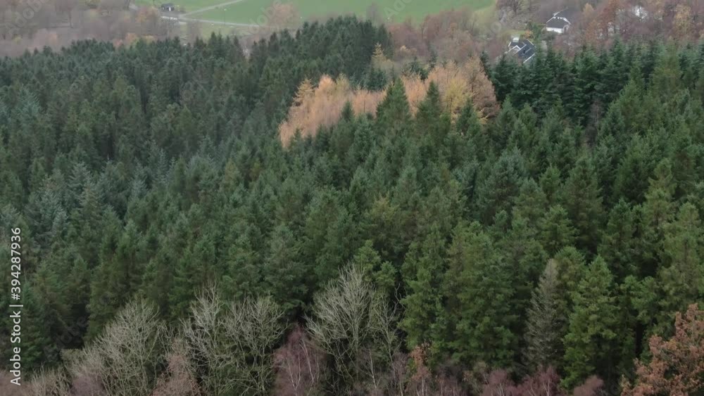 Hjelmeland Municipality. Rogaland, Norway. Drone Aerial View of Evergreen Forest and Autumn Landscape Hjelmeland Municipality. Rogaland, Norway. Drone Aerial View of Evergreen Forest and Autumn Landscape