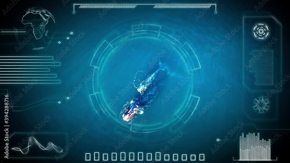 HUD Tracker of a Southern right Whale, Eubalaena australis, with text copy space, data and a map - 3d Motion graphics animation