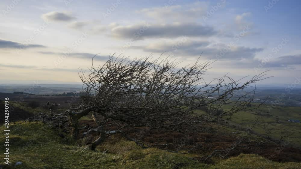 Time lapse of rural and remote landscape of grass, trees and rocks during the day in hills of Carrowkeel in county Sligo, Ireland. Time lapse of rural and remote landscape of grass, trees and rocks during the day in hills of Carrowkeel in county Sligo, Ireland.
