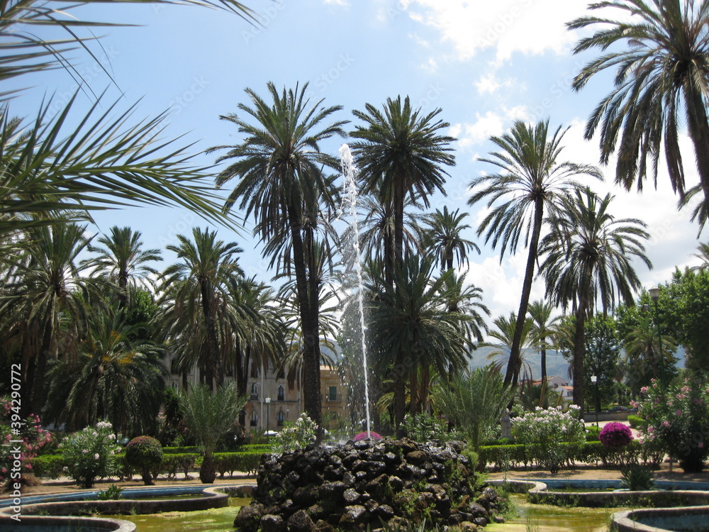 palm trees in the park , Italy , Sicilia , Palermo