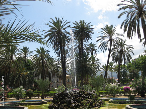 Obraz na płótnie palm trees in the park , Italy , Sicilia , Palermo w salonie