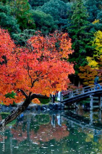 秋の虎渓山永保寺