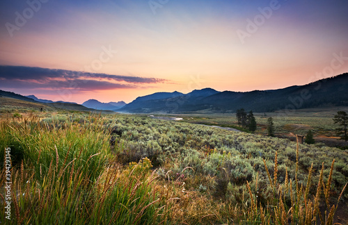 Yellowstone’s Lamar Valley just before sunrise on a Summer morning