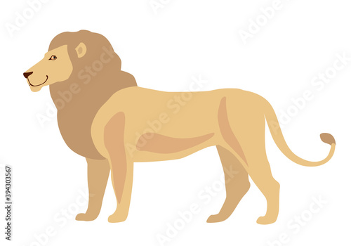 African lion. Vector drawing on a white background. Isolate