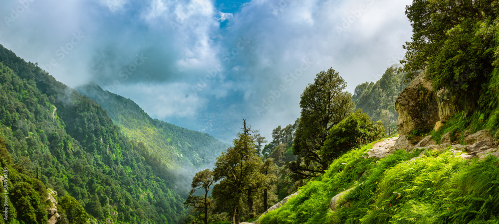 View enroute to Triund hiking trail through lush green landscape at Mcleodganj, Dharamsala, Himachal Pradesh, India. Triund hill top offers view of himalyan peaks of Dhauladhar range.