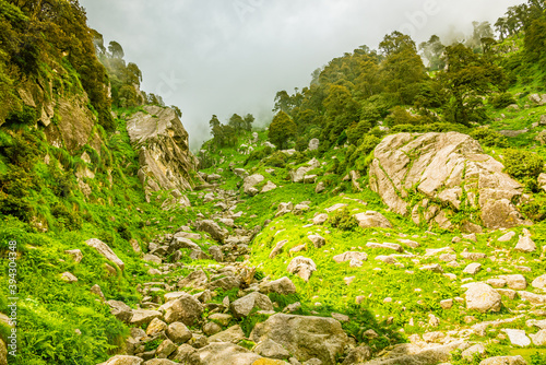 View enroute to Triund hiking trail through lush green landscape at Mcleodganj, Dharamsala, Himachal Pradesh, India. Triund hill top offers view of Himalayas peaks of Dhauladhar range. photo