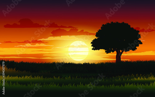 Sunset with tree silhouette