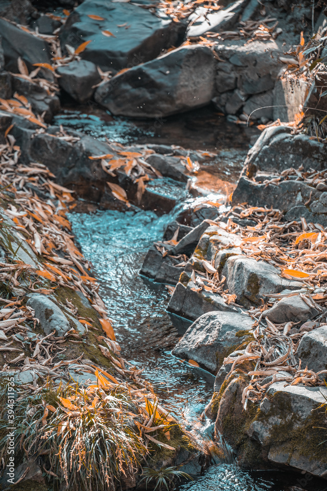 stream in autumn stream in autumn