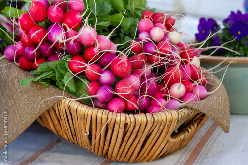 Basket of cherry belle radish in a basket at a farmers market.