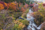 日本の紅葉と川