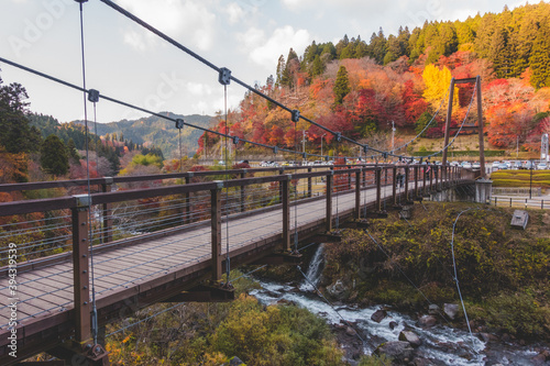 日本の紅葉と山にかかる橋