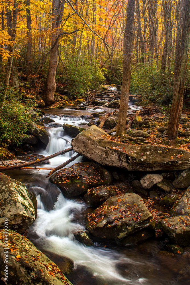Woodland stream in the Great Smoky Mountains National Park at autumn
