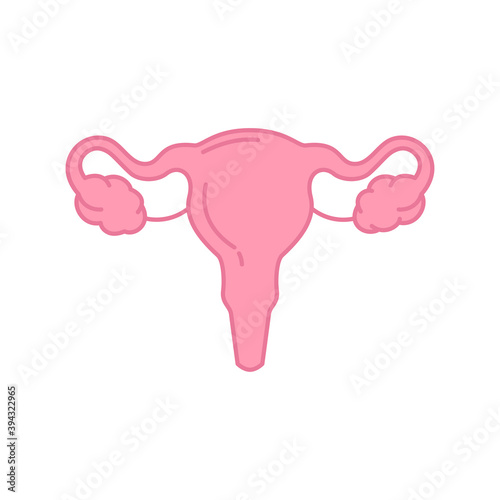Simple icon of female genital organs, internal human organs. Female reproductive system. Vector illustration.