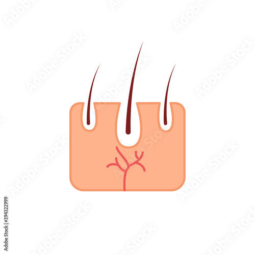 Simple icon of human skin. Human skin vector illustration..
