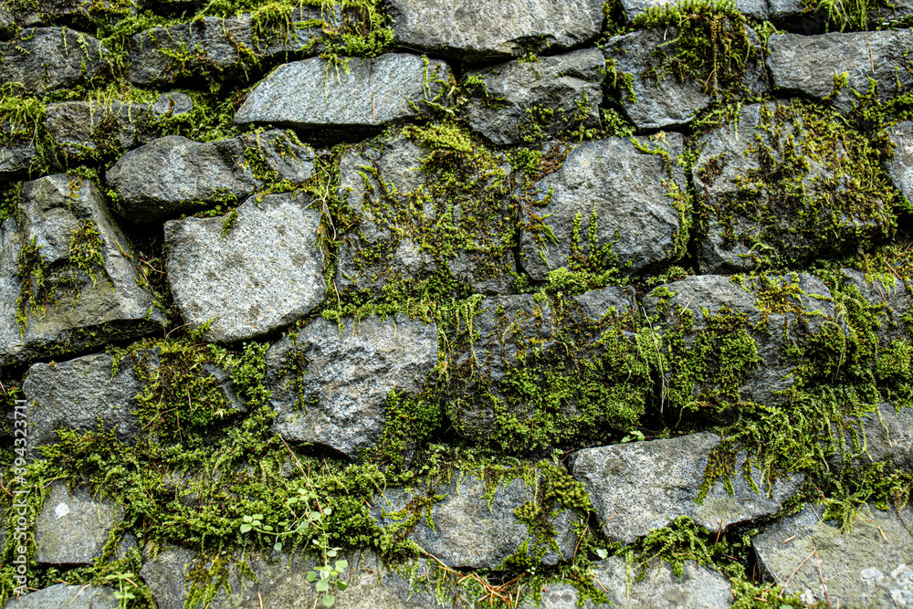 苔の生えている石垣背景素材