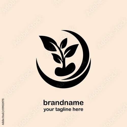 new plant seed logo and icon design