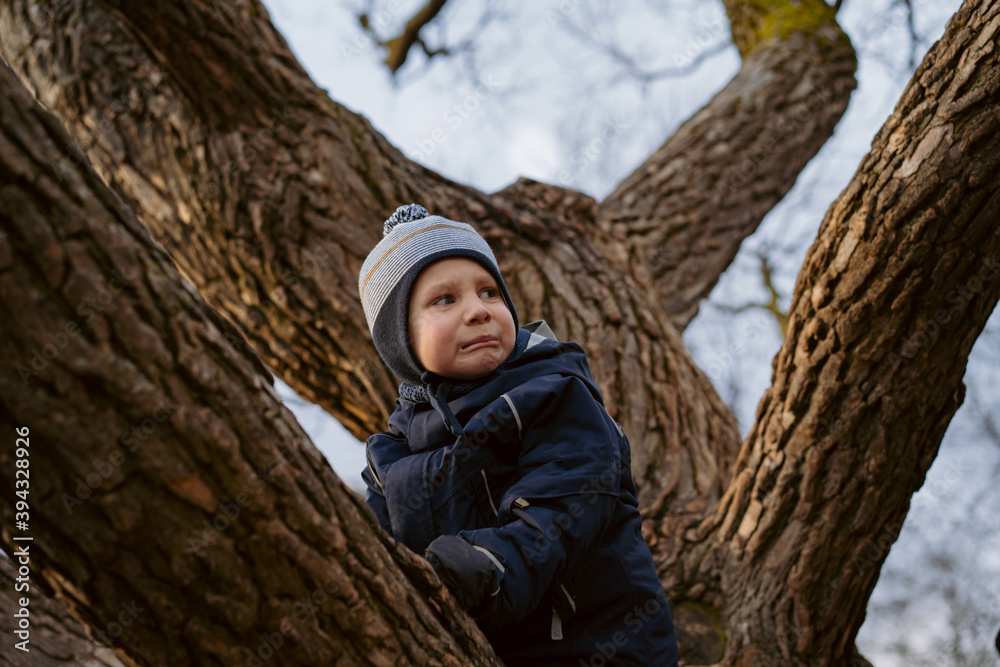 cute little boy sitting on branch of big tree in park with upset face cute little boy sitting on branch of big tree in park with upset face