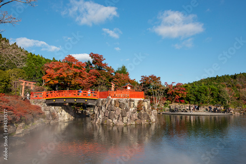 Autumn leaf colors at Katsuou-ji temple in Mino, Hyogo, Japan photo