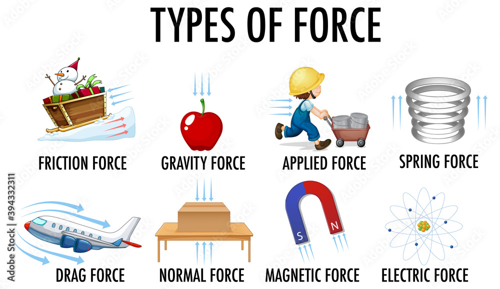 Types of force for children physics educational poster Stock Vector ...