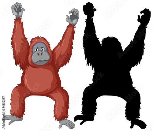 Orangutan characters and its silhouette on white background