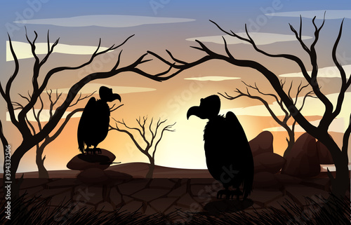 Outdoor nature silhouette sunset scene