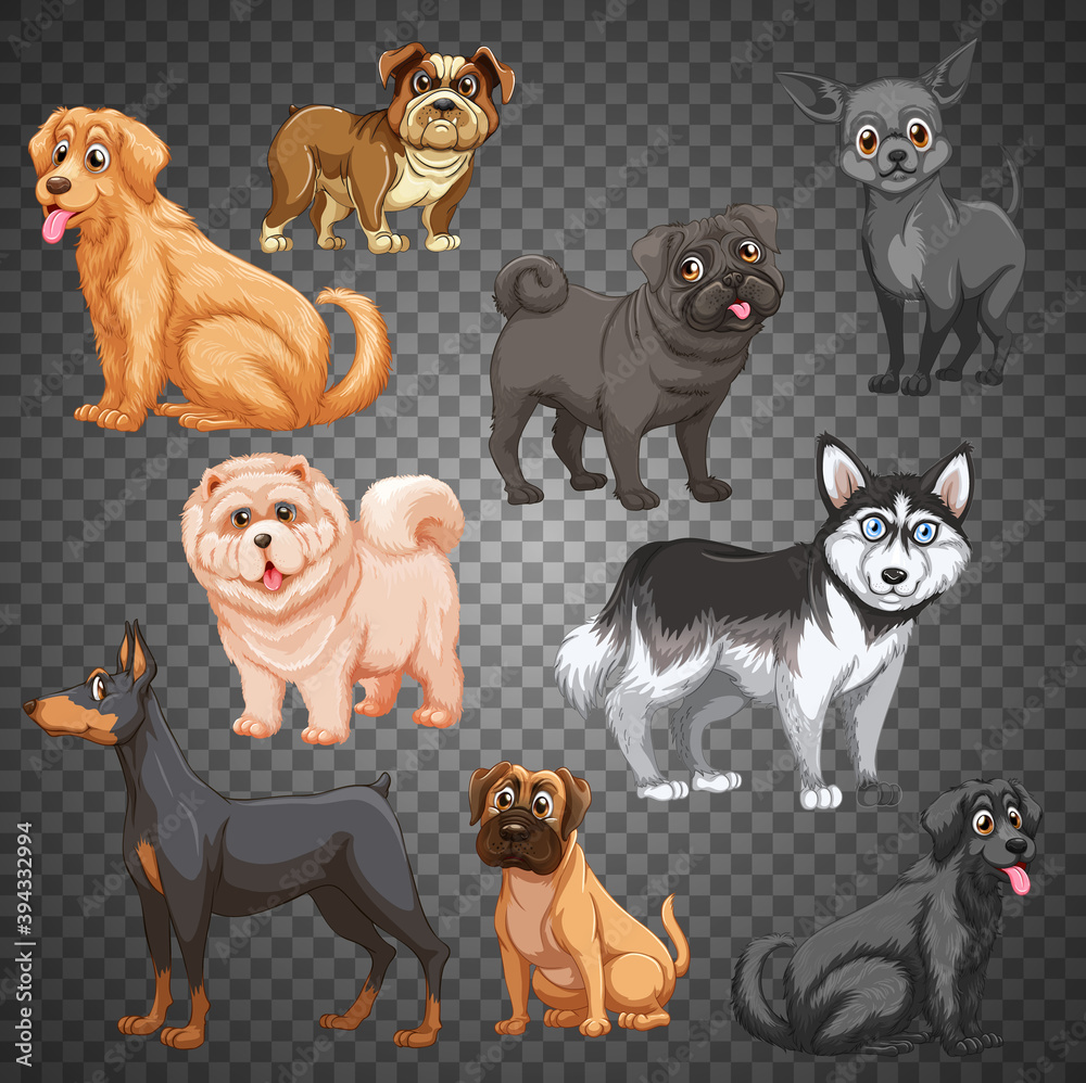 Set of different dogs isolated