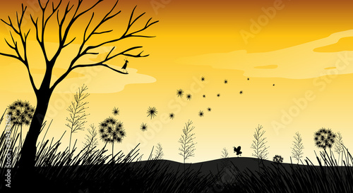 Outdoor nature silhouette sunset scene