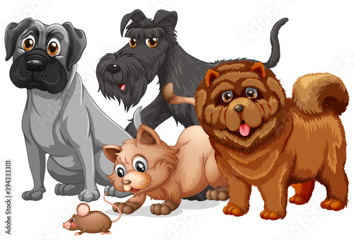 Cute animal dog group isolated on white background