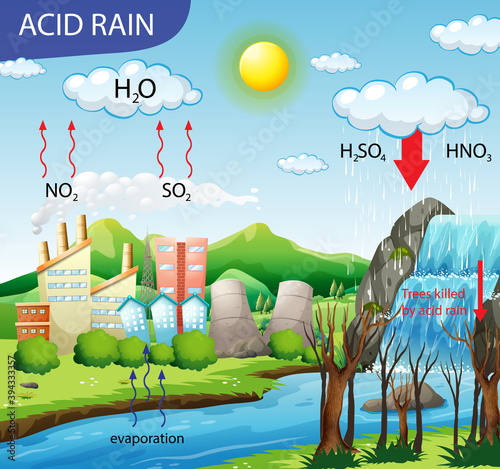 Diagram showing acid rain pathway