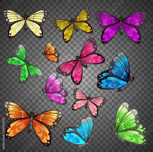 Set of different color butterfly on transparent background