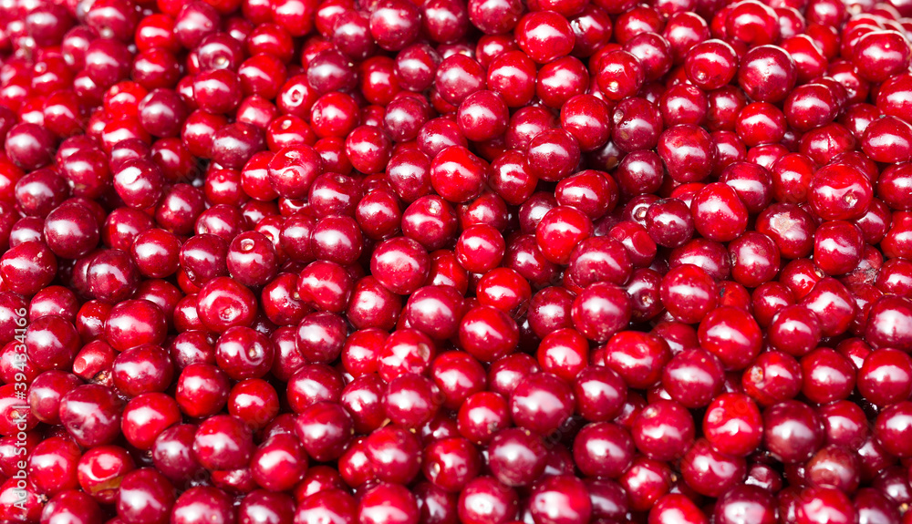 red berries cherry texture background red berries cherry texture background