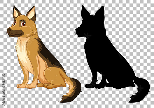 Cute german shepherd and its silhouette on transparent background