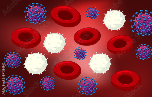 Red and white blood cells and coronavirus