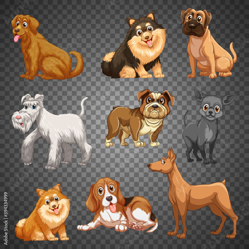 Set of different dogs isolated