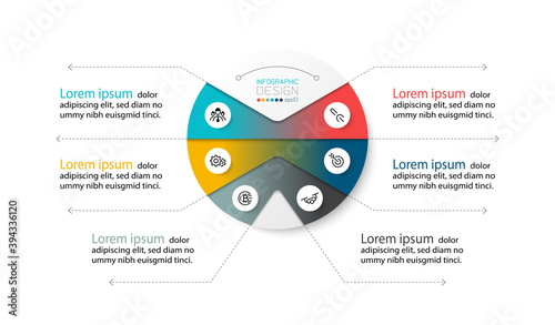 The circle diagram describes the structure of the work and analyzes the processes. vector infographic design.