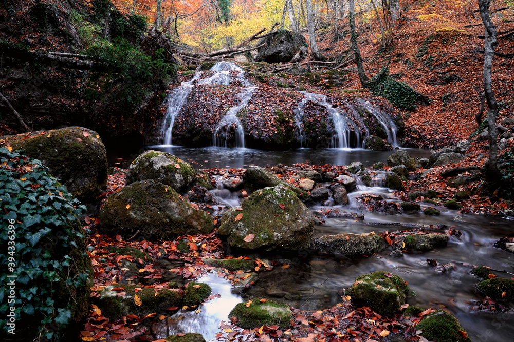 Fototapeta premium Falls in the autumn forest