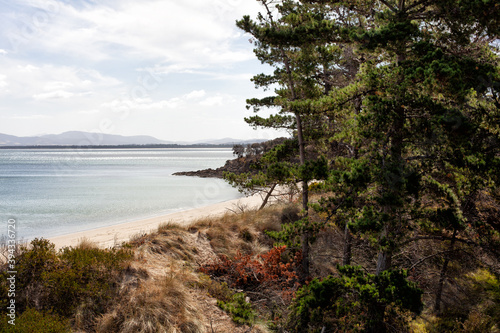View of the coastline along the Derwent River at Opposum Bay