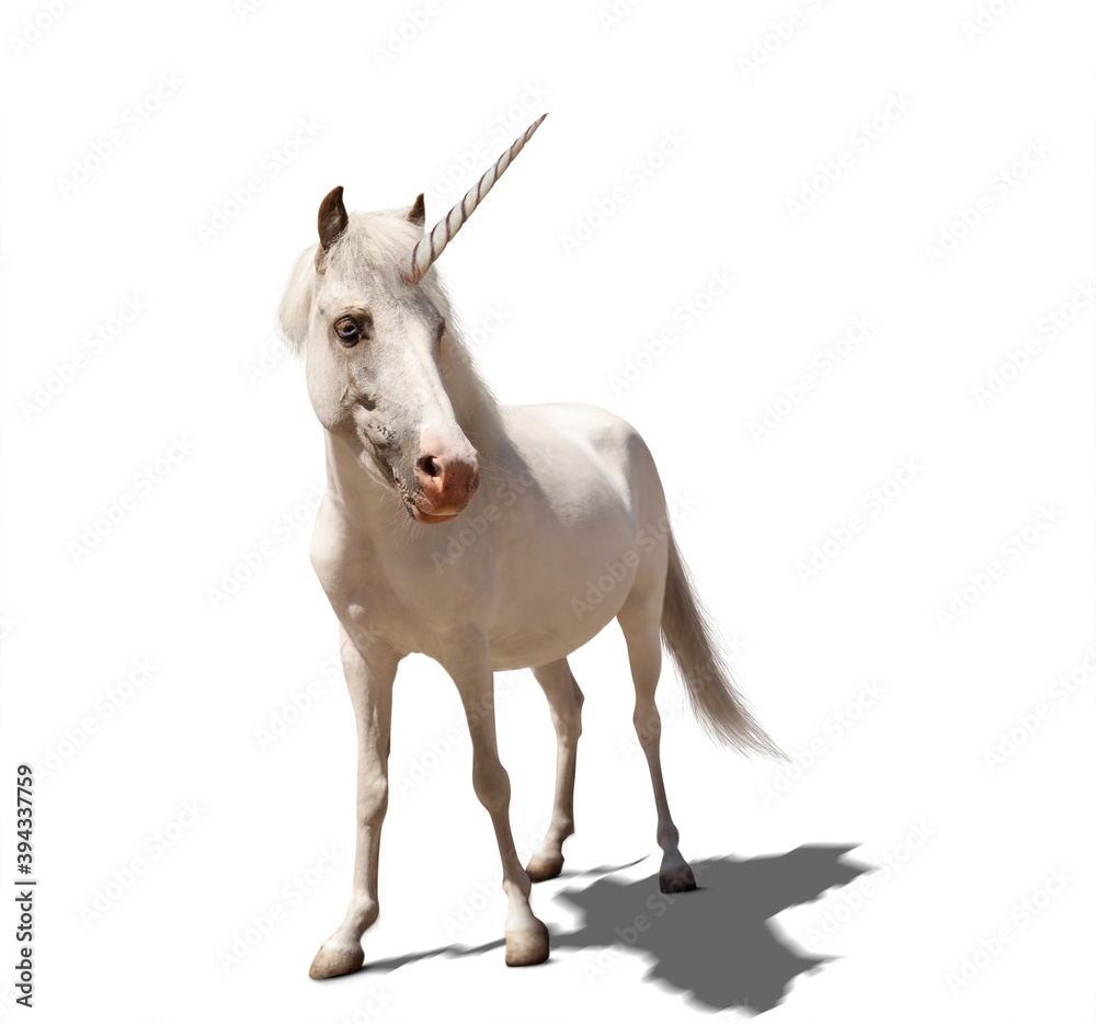Amazing unicorn with beautiful mane on white background