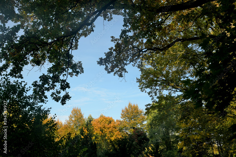 Naklejka premium herbstblick