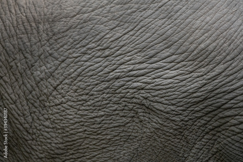 elephant skin texture