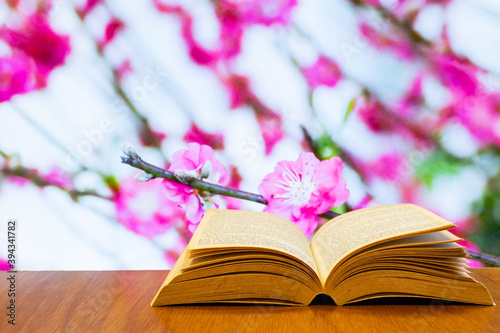 open old book on a wood table with blooming peach blossoms in background