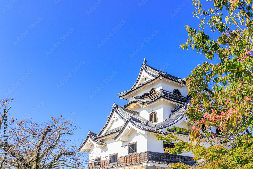 秋の彦根城　滋賀県彦根市　
Autumn Hikone castle Shiga-ken Hikone city